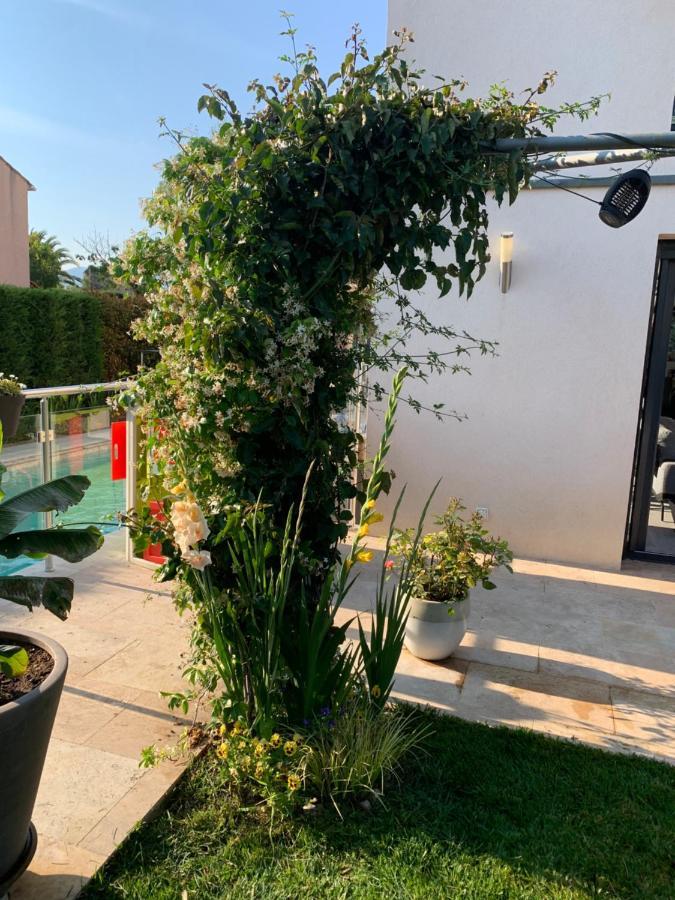Villa Elimia Piscine Privee & Chauffee Antibes Zewnętrze zdjęcie
