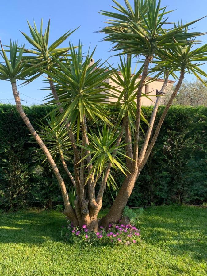 Villa Elimia Piscine Privee & Chauffee Antibes Zewnętrze zdjęcie